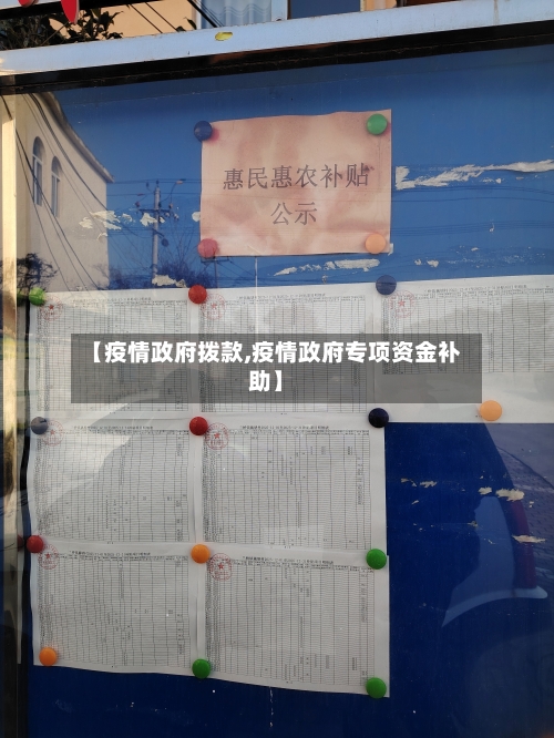 【疫情政府拨款,疫情政府专项资金补助】