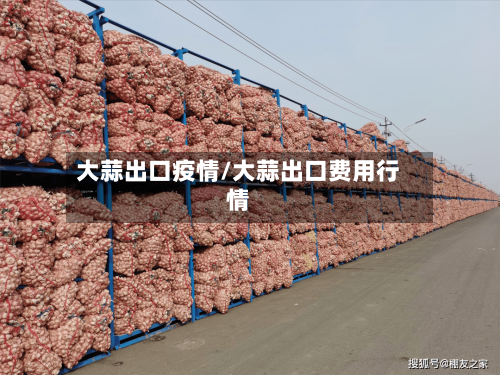 大蒜出口疫情/大蒜出口费用行情