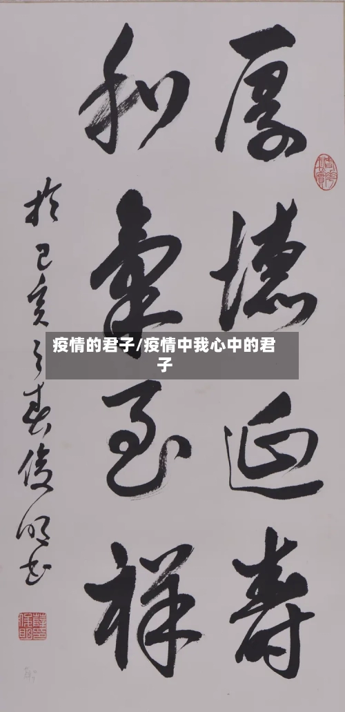 疫情的君子/疫情中我心中的君子