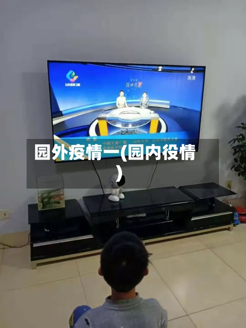 园外疫情一(园内役情)