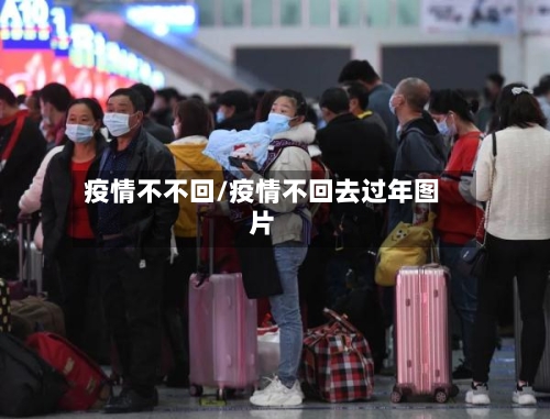 疫情不不回/疫情不回去过年图片