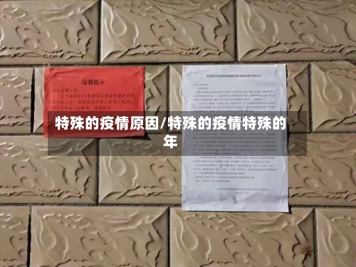 特殊的疫情原因/特殊的疫情特殊的年