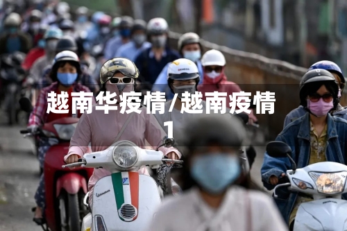 越南华疫情/越南疫情1