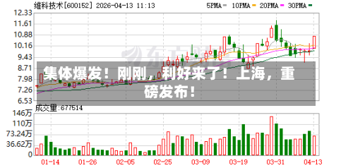 集体爆发!刚刚,利好来了!上海,重磅发布!