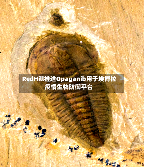 RedHill推进Opaganib用于埃博拉疫情生物防御平台