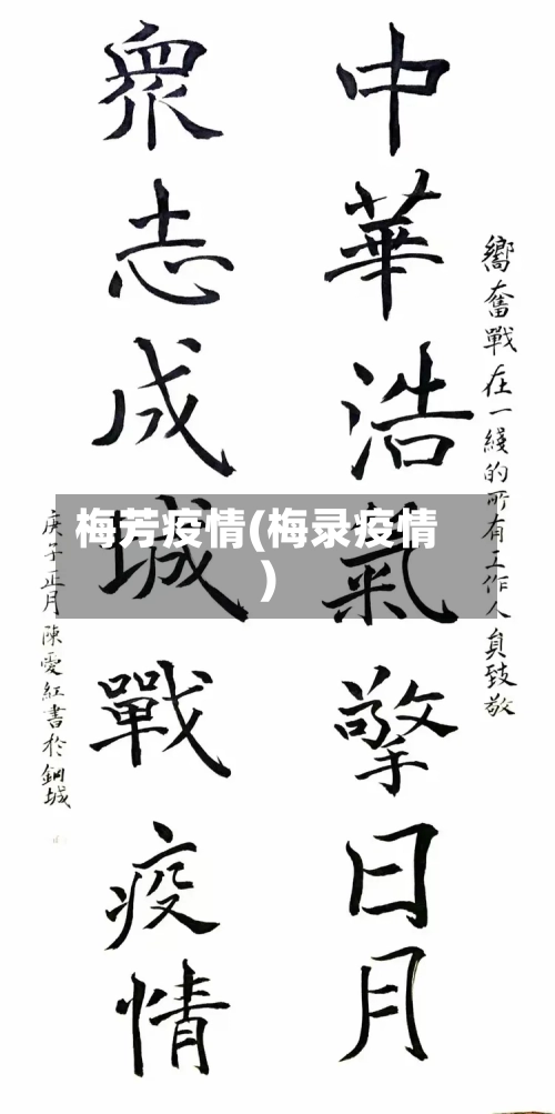 梅芳疫情(梅录疫情)