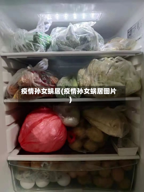 疫情孙女蜗居(疫情孙女蜗居图片)