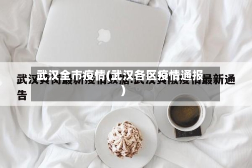 武汉全市疫情(武汉各区疫情通报)