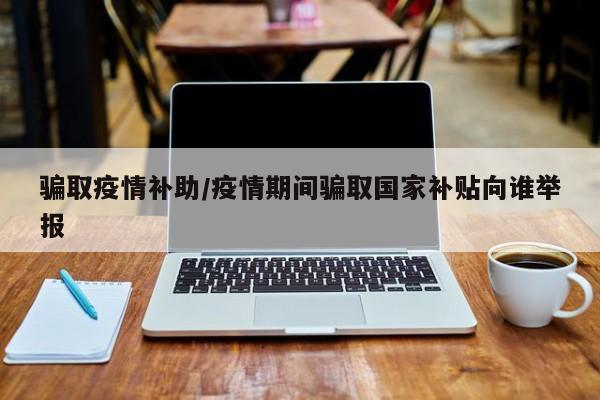 骗取疫情补助/疫情期间骗取国家补贴向谁举报