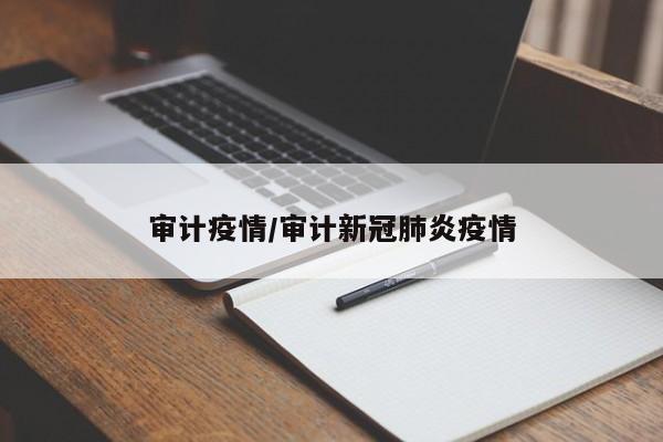 审计疫情/审计新冠肺炎疫情